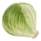 Cabbage_Iconic