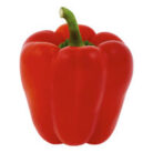 Red-Bell-Pepper_Iconic