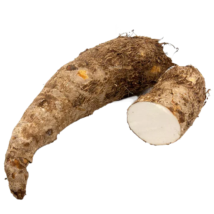 White-Yautia blanca Super Fresh fresca Fast entrega Delivery En In Santo Domingo con Traibuy