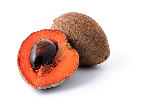 sliced mamey sapote pouteria sapota with seed on white sliced mamey sapote pouteria sapota with seed on white