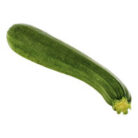 Zucchini_Iconic