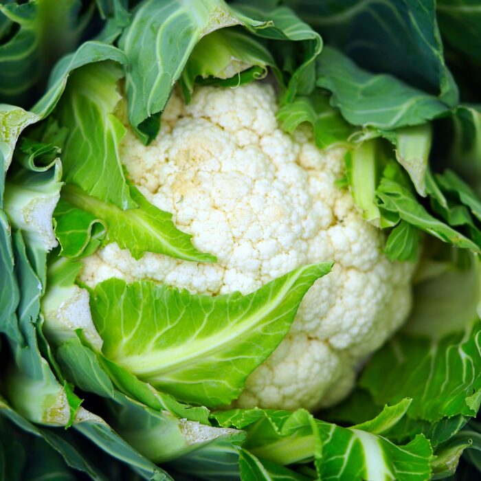 Coliflor -vegetable traibuy