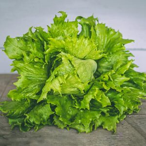 LECHUGA