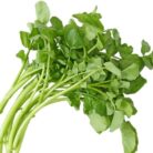 watercress berro super fresco entrega rapida en santo domingo con traibuy