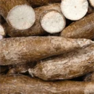 yuca super fresca entrega en santo domingo por traibuy fast